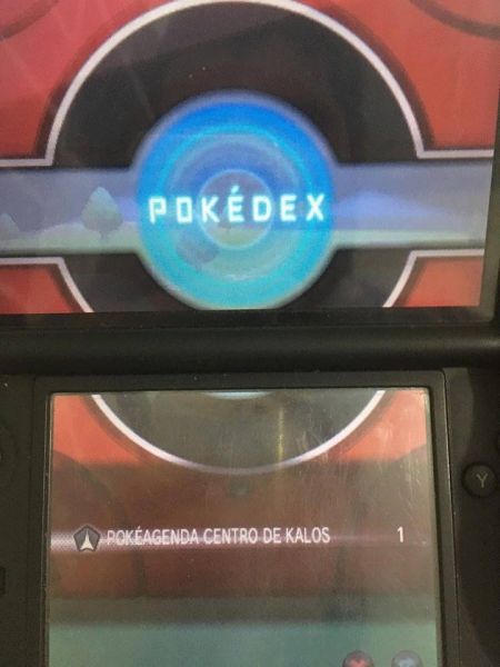 Arquivo:Pokeagenda.jpg